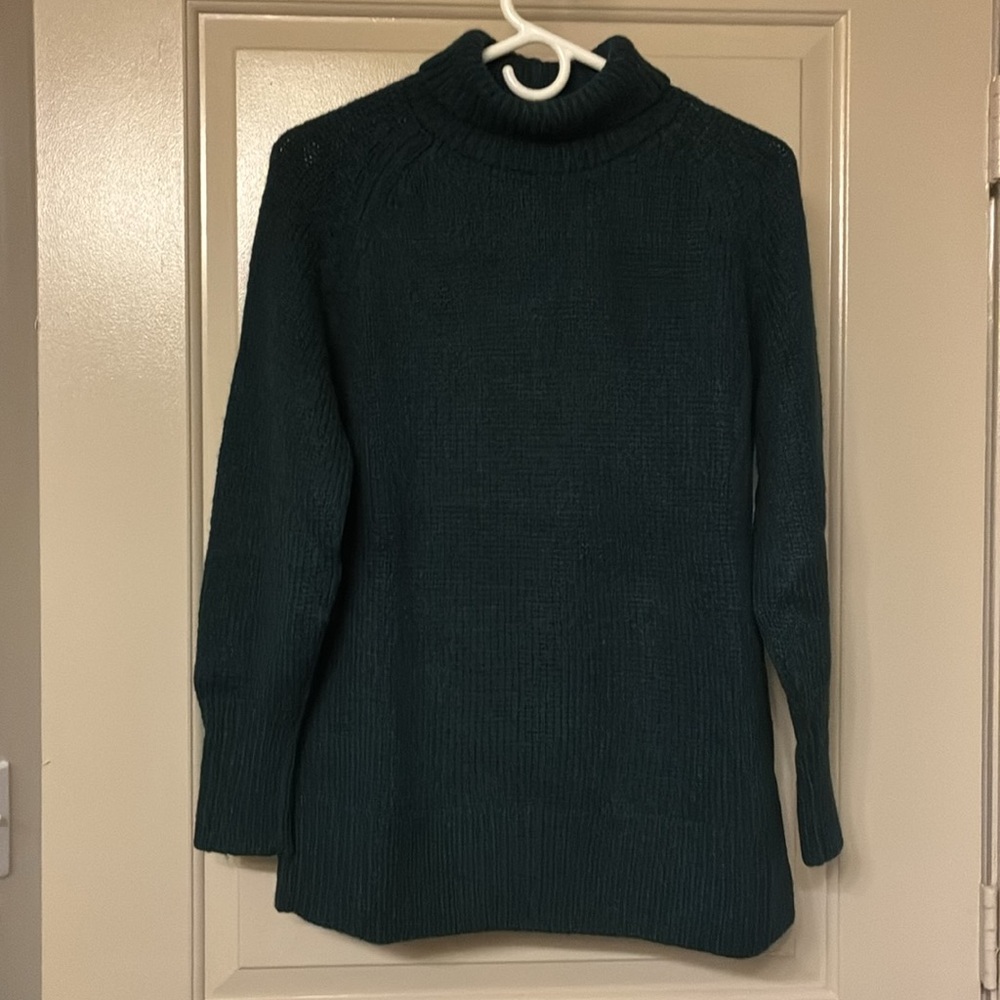Babaton/Aritzia Dark Green Turtleneck Sweater Size XXS